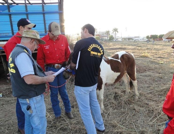 Indea promove curso para médicos veterinários interessados em atuar em eventos agropecuários