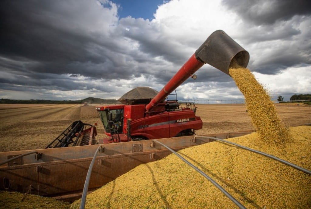 Criminosos usam empresa agrícola e aplicam golpes de R$ 1,2 milhão em produtores de soja
