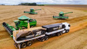 Mato Grosso deverá responder por 30% da safra recorde de grãos no Brasil