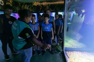 Aquário Municipal recebe mais de 650 estudantes em março