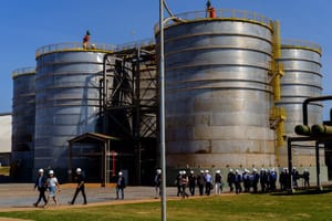 MT aposta em biocombustíveis e incentivos para liderar nova fase da indústria energética