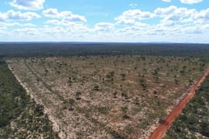Após acordo com MP, produtor rural terá que pagar R$ 308 mil e recuperar área degradada em MT