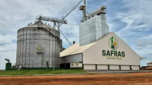Justiça aceita recuperação judicial do Grupo Safras por dívidas de  R$ 1,7 bilhão