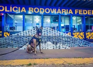 PRF encontra 400 kg de cocaína e 100 munições escondidos em caminhão