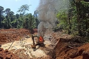 Caciques são denunciados pelo MPF por garimpo ilegal e extração de madeira em MT