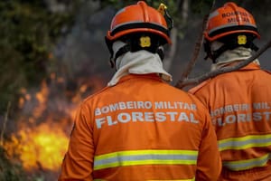 Uso do fogo em área do Pantanal está proibido a partir deste domingo (1º)