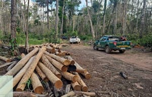 PC, Funai e Ibama deflagram operação contra desmatamento ilegal em reservas indígenas